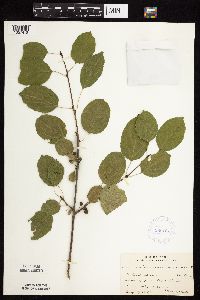 Image Associated With the Occurrence