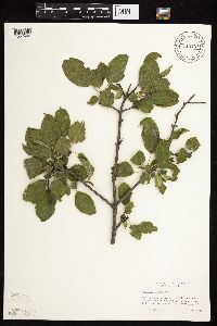 Image Associated With the Occurrence