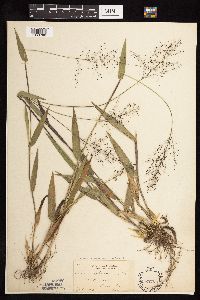 Image Associated With the Occurrence