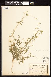 Image Associated With the Occurrence