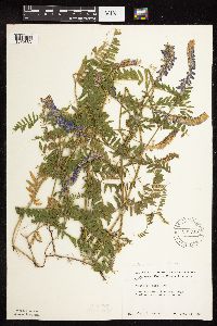 Image Associated With the Occurrence