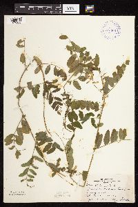 Image Associated With the Occurrence