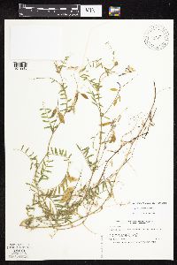 Image Associated With the Occurrence