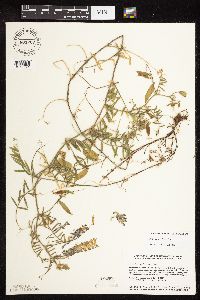 Image Associated With the Occurrence