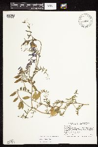 Image Associated With the Occurrence