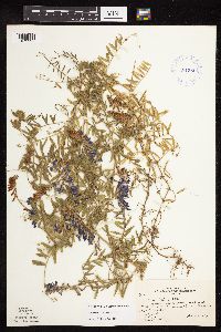 Image Associated With the Occurrence