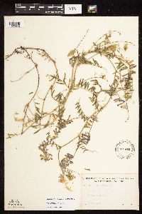 Image Associated With the Occurrence