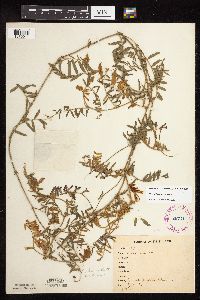 Image Associated With the Occurrence