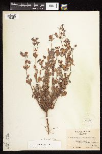 Image Associated With the Occurrence