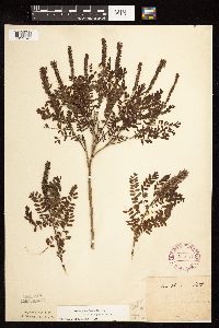 Image Associated With the Occurrence