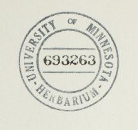 Rusavskia elegans image