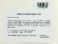 Image Associated With the Occurrence