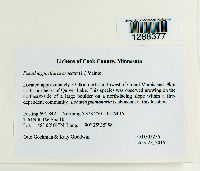 Image Associated With the Occurrence