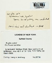 Image Associated With the Occurrence