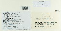 thumbnail image of current specimen