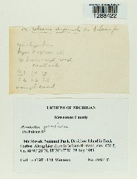 Image Associated With the Occurrence