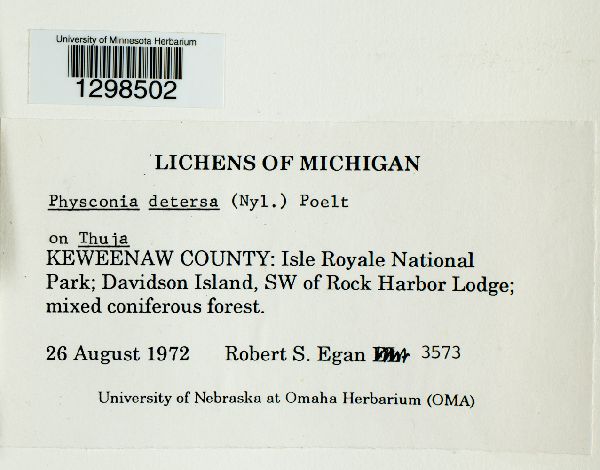 Physconia detersa image