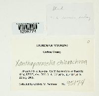 Image Associated With the Occurrence