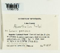 Image Associated With the Occurrence