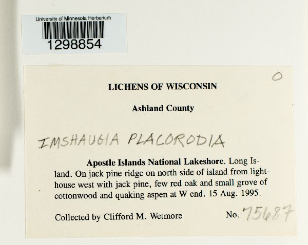 Imshaugia placorodia image