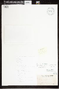 Image Associated With the Occurrence