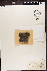 Image Associated With the Occurrence