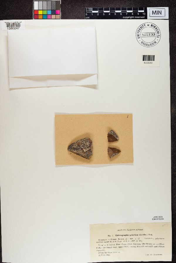 Enterographa image