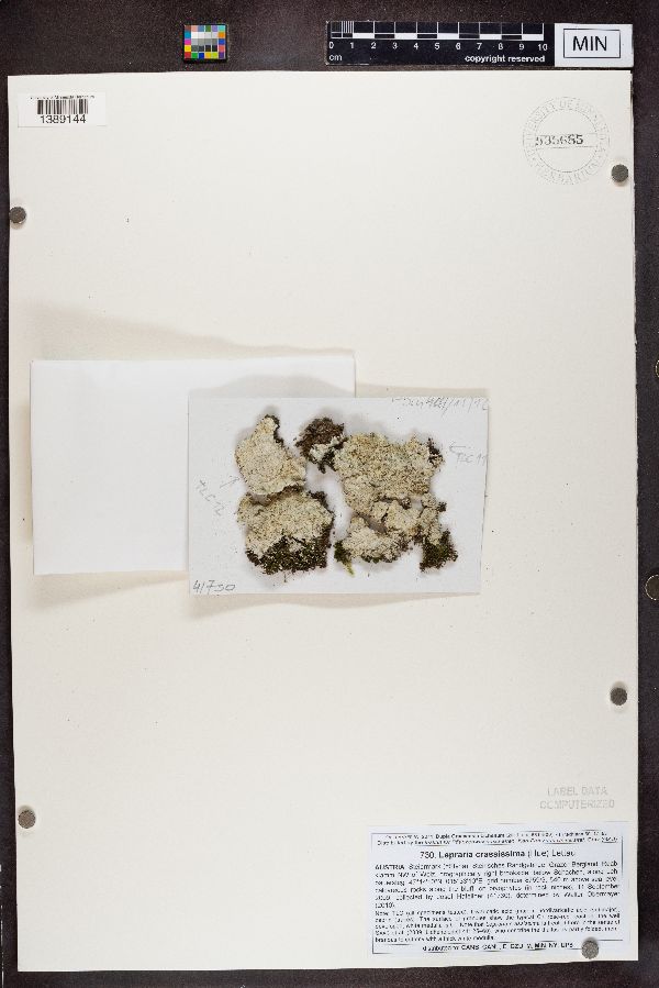 Lepraria crassissima image