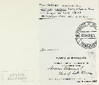 Uromyces sparganii image