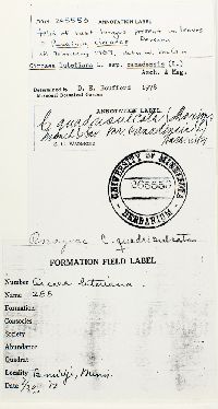 Image Associated With the Occurrence