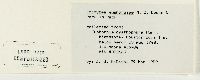thumbnail image of current specimen