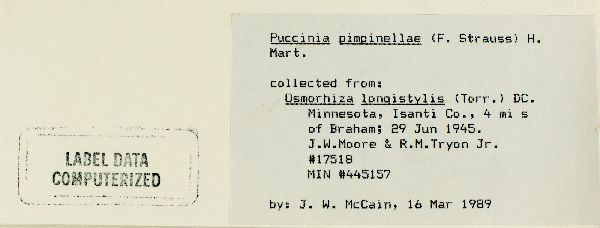 Osmorhiza longistylis image