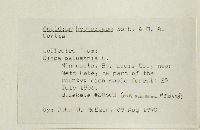 Aecidium hydnoideum image