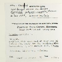Puccinia polygoni-amphibii image