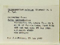 thumbnail image of current specimen