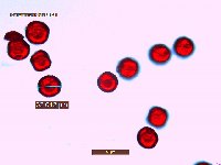 Thumbnail image of current specimen