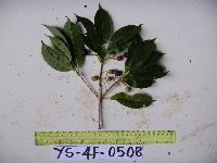 Image Associated With the Occurrence