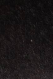 Rubus acridens image