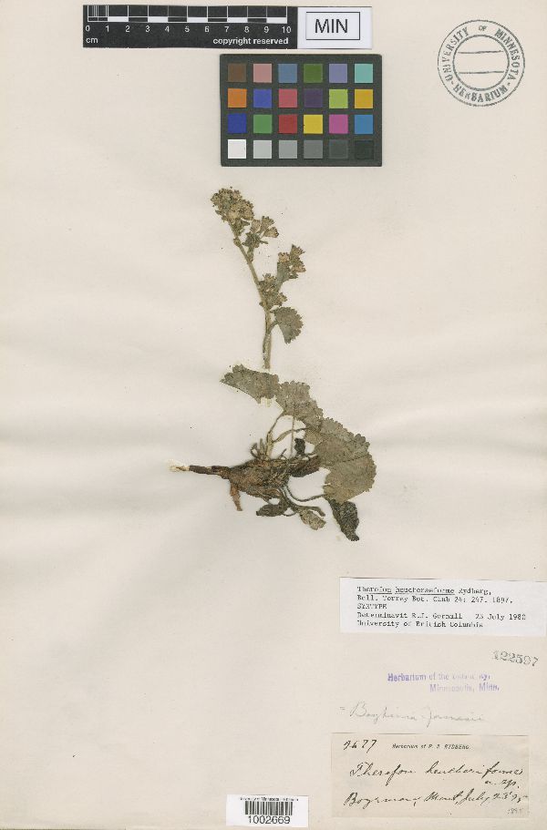 Telesonix image