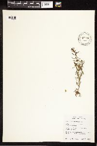 Image Associated With the Occurrence