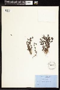 Image Associated With the Occurrence