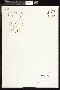 Image Associated With the Occurrence