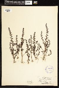 Image Associated With the Occurrence