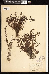 Image Associated With the Occurrence