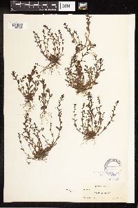 Image Associated With the Occurrence