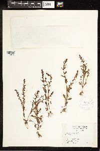 Image Associated With the Occurrence