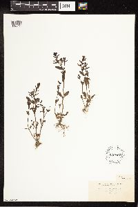 Image Associated With the Occurrence