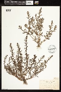 Image Associated With the Occurrence