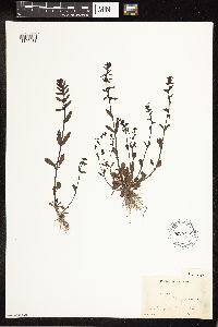 Image Associated With the Occurrence