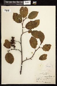 Image Associated With the Occurence